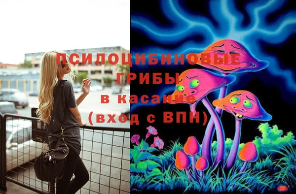 спайс Абаза