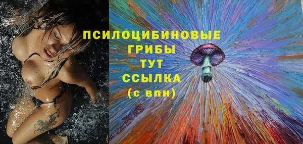 спайс Абаза