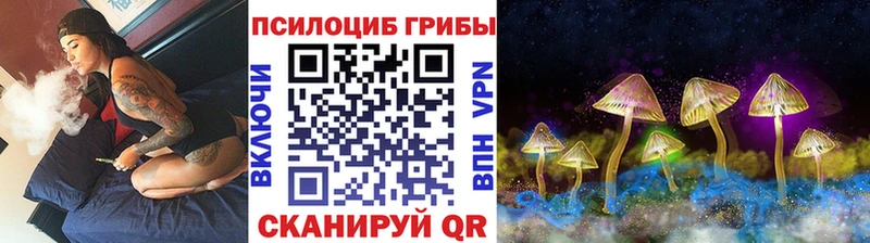 Галлюциногенные грибы ЛСД  цены наркотик  mega ONION  Мегион 